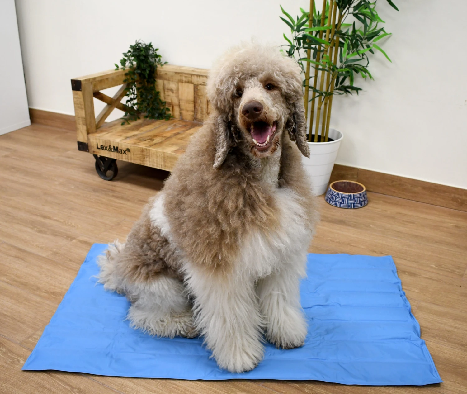 Manta Refrescante Cool Mat Azul Light Para Perros Y Gatos 5 Manta Refrescante Cool Mat Azul Light Para Perros Y Gatos - Imagen 3