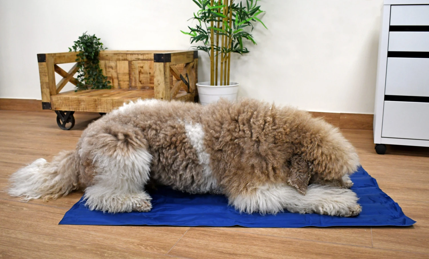 Manta Refrescante Cool Mat Azul Marino Para Perros Y Gatos 7 Manta Refrescante Cool Mat Azul Marino Para Perros Y Gatos - Imagen 5