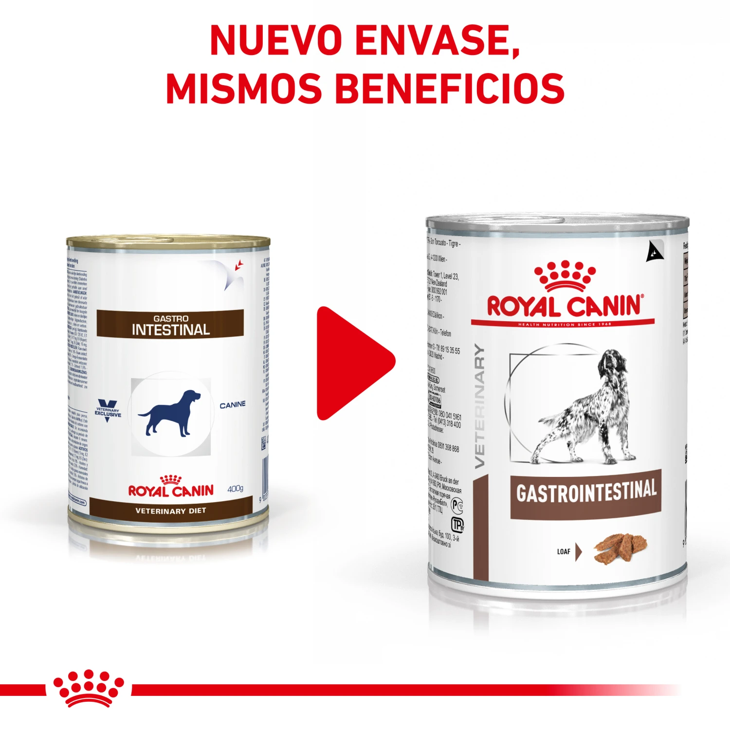 ROYAL CANIN Comida Húmeda Gastro Intestinal Canine 4 ROYAL CANIN Comida Húmeda Gastro Intestinal Canine - Imagen 2