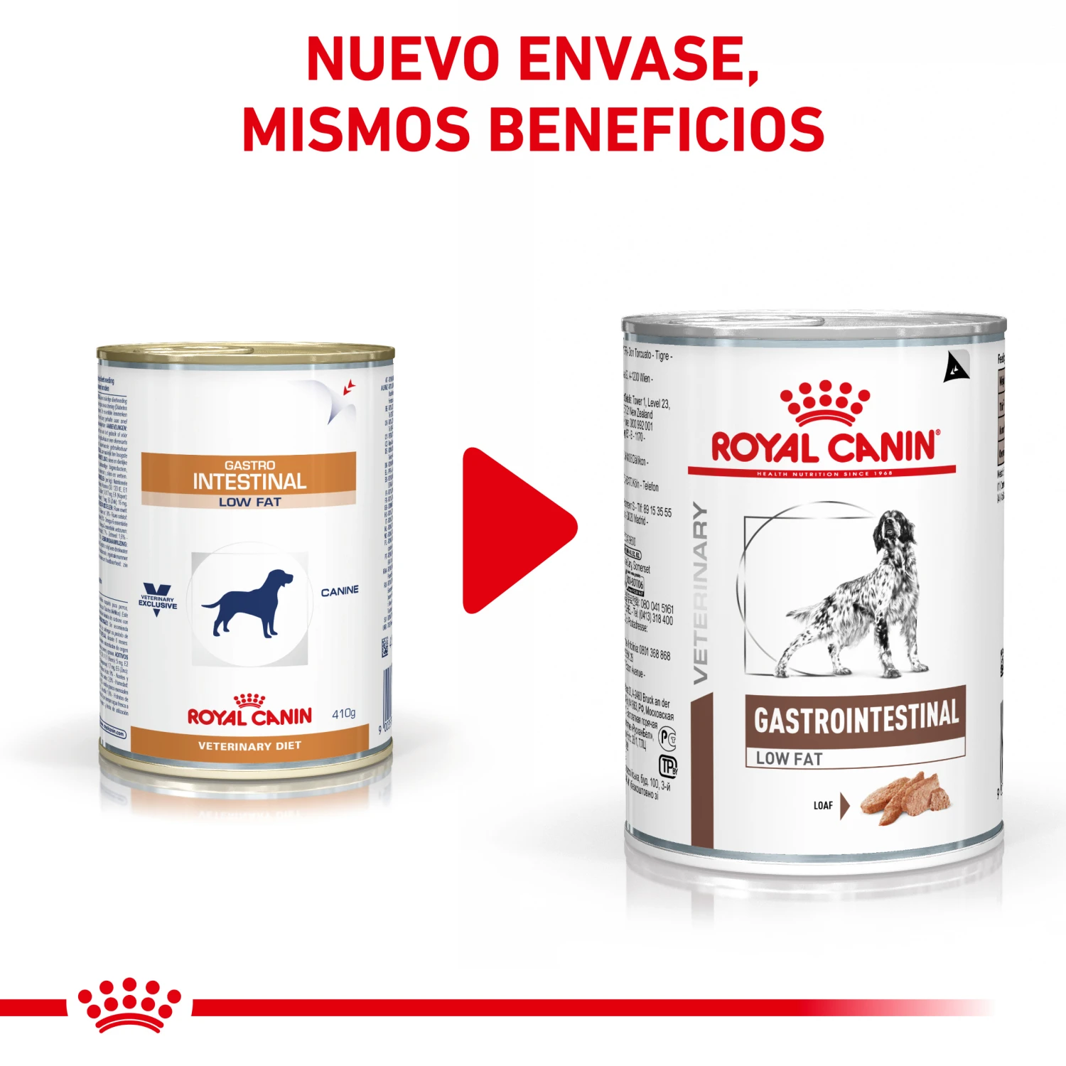 ROYAL CANIN Pack 12 Comida Húmeda Gastro Intestinal Low Fat Canine 5 ROYAL CANIN Pack 12 Comida Húmeda Gastro Intestinal Low Fat Canine - Imagen 3