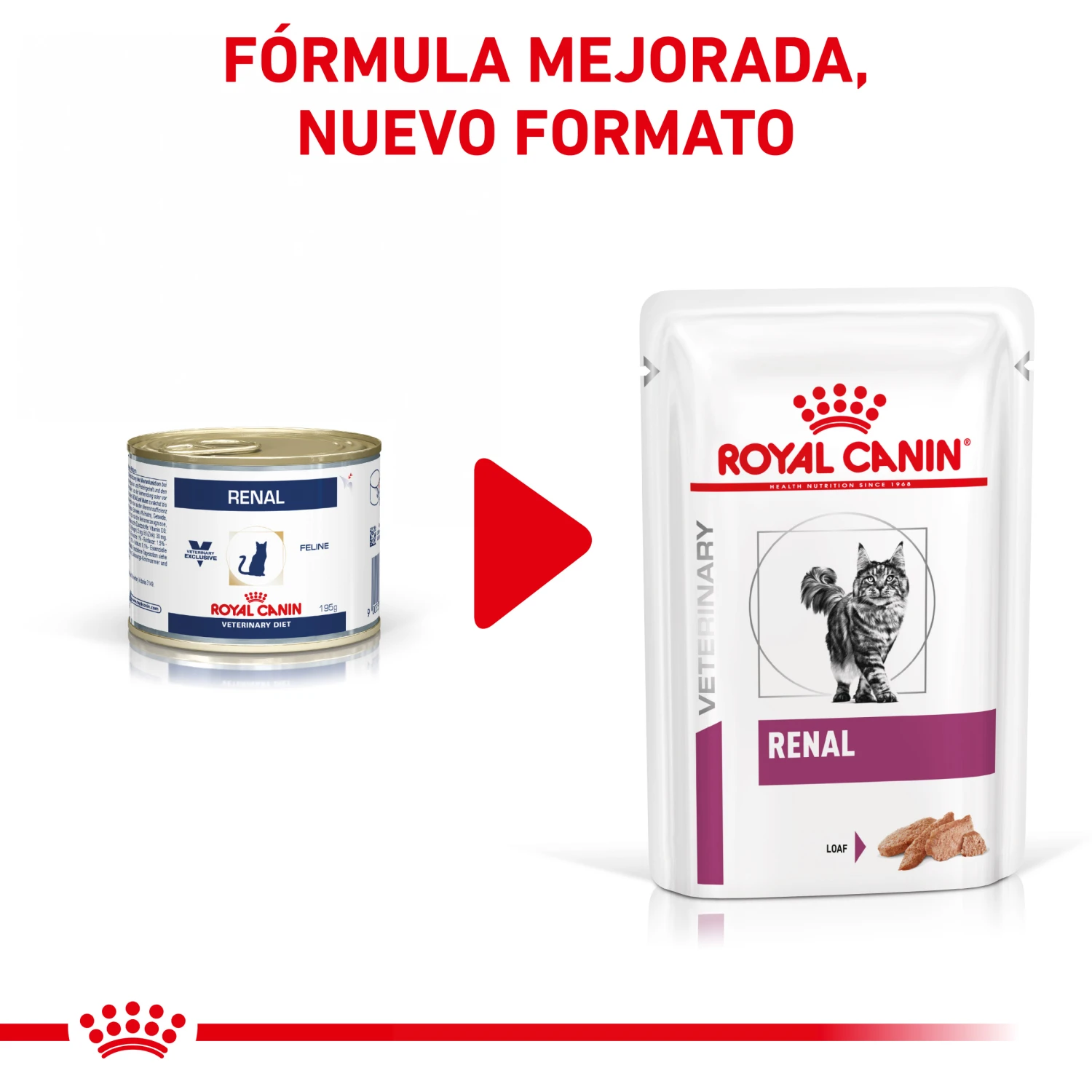 ROYAL CANIN Renal Paté 4 ROYAL CANIN Renal Paté - Imagen 2