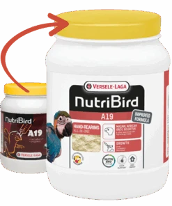VERSELE-LAGA Nutribird A19 Para Polluelos 9 VERSELE-LAGA Nutribird A19 Para Polluelos -Animalear Ventas Nutribird A19 para Polluelos 63f4d3c9f1f1a