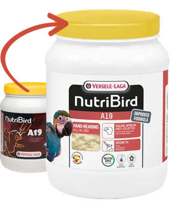 VERSELE-LAGA Nutribird A19 Para Polluelos 6 VERSELE-LAGA Nutribird A19 Para Polluelos - Imagen 4