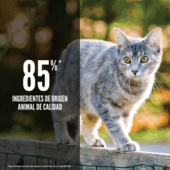 Orijen Cat & Kitten -Animalear Ventas Original 3 64c761643d9ed