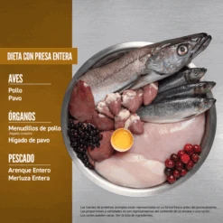 Orijen Cat & Kitten -Animalear Ventas Original 6 64c76166935d9