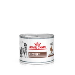 ROYAL CANIN Pack 12 Canine & Feline Recovery (Lata)