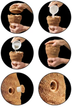 EXO TERRA Exo Terra Dispensador De Termitas 8 EXO TERRA Exo Terra Dispensador De Termitas -Animalear Ventas PT2823 Termite Hill instructions 636d0ae817ec2