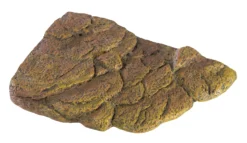 EXO TERRA Isla Flotante Magnética Para Tortugas Turtle Bank