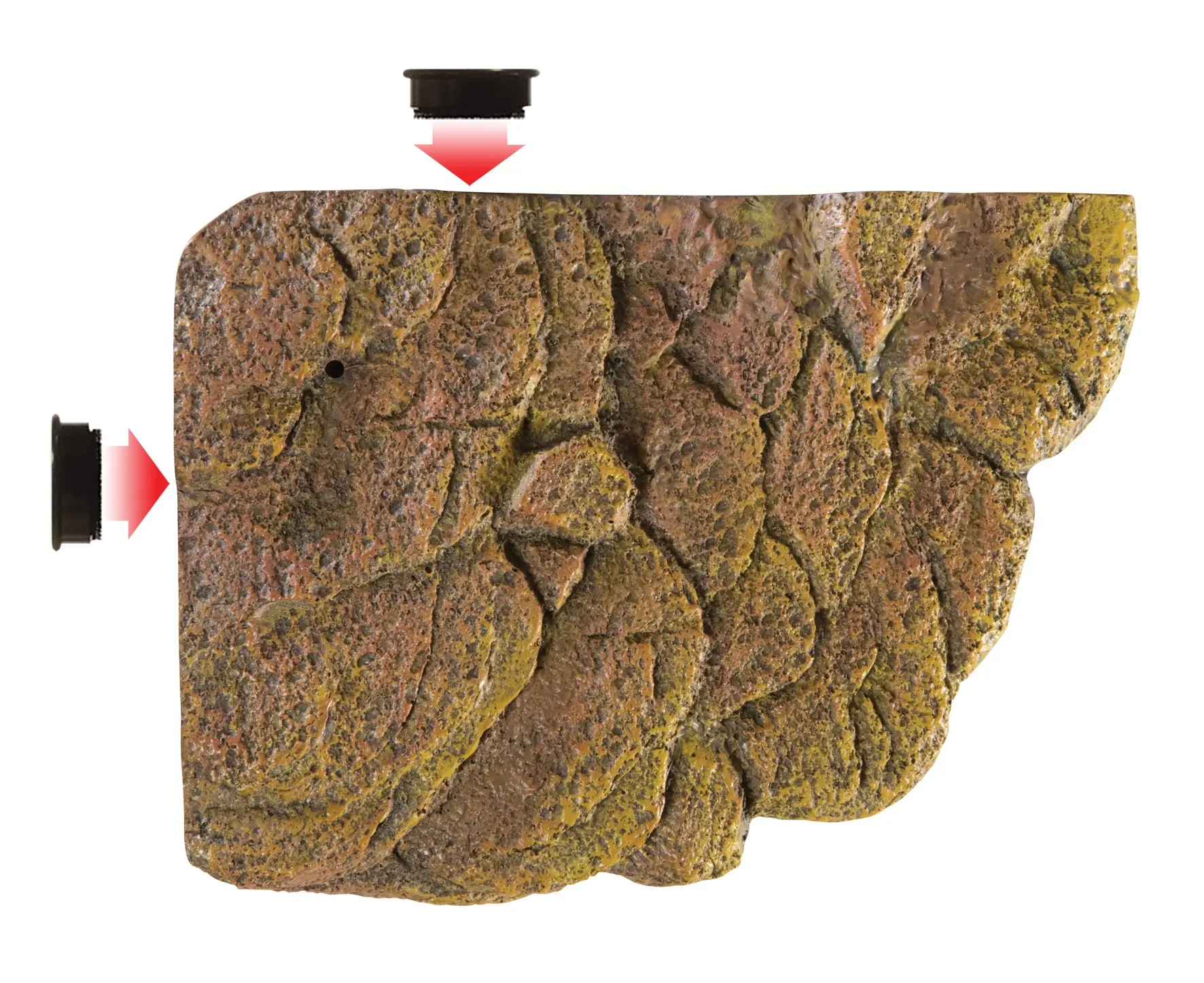 EXO TERRA Isla Flotante Magnética Para Tortugas Turtle Bank 4 EXO TERRA Isla Flotante Magnética Para Tortugas Turtle Bank - Imagen 2