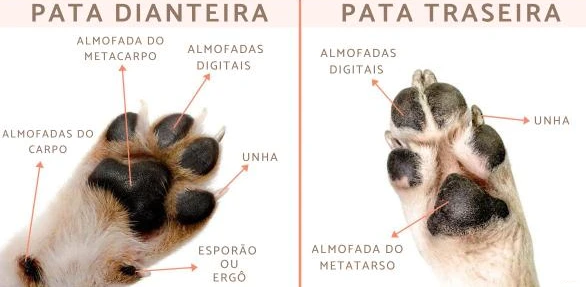 Protector De Almohadillas 4 Protector De Almohadillas - Imagen 2