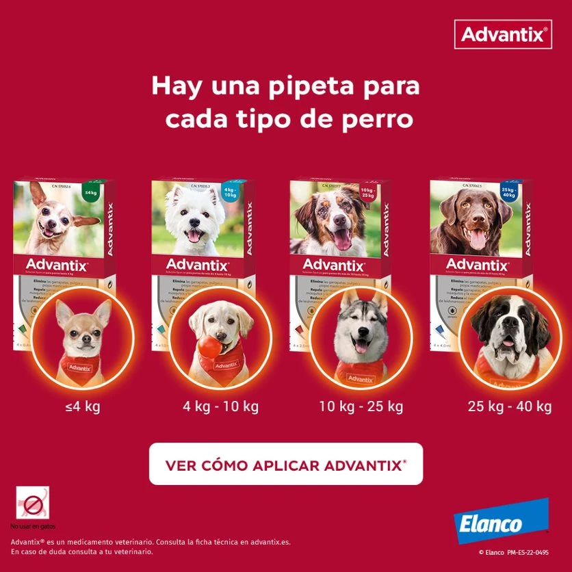 Advantix Pipetas Spot On Para Perro Hasta 4 Kg 9 Advantix Pipetas Spot On Para Perro Hasta 4 Kg - Imagen 7
