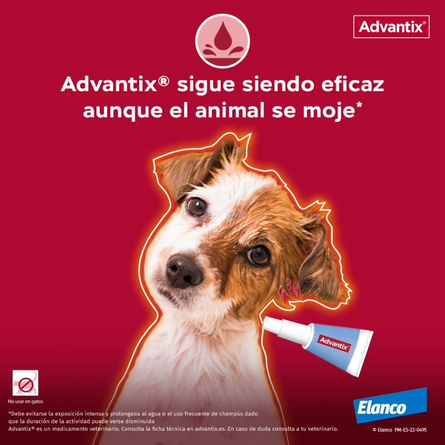 Advantix Pipetas Spot On Para Perro Hasta 4 Kg 5 Advantix Pipetas Spot On Para Perro Hasta 4 Kg - Imagen 3