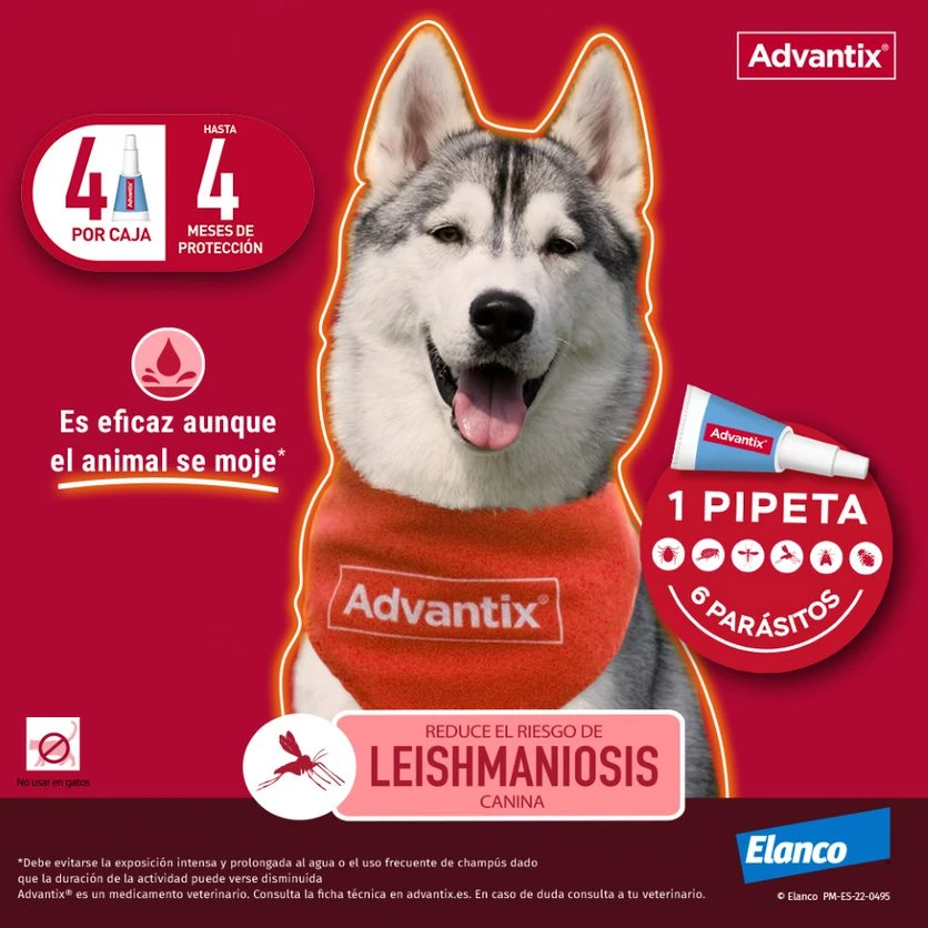 Advantix Pipetas Spot On Para Perro Hasta 4 Kg 6 Advantix Pipetas Spot On Para Perro Hasta 4 Kg - Imagen 4