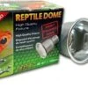 EXO TERRA Reptile Dome Portalámparas Nano, 10cm 1 EXO TERRA Reptile Dome Portalámparas Nano, 10cm -Animalear Ventas Portalamparas 64b00094805c5