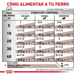 ROYAL CANIN Comida Húmeda Gastro Intestinal Canine 13 ROYAL CANIN Comida Húmeda Gastro Intestinal Canine -Animalear Ventas RACIONAMIENTO 62fcc2767ab1a