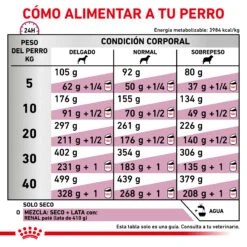ROYAL CANIN VD Canine Renal -Animalear Ventas RACIONAMIENTO 62fcca60aa102