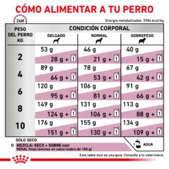 ROYAL CANIN Renal Small Dog 19 ROYAL CANIN Renal Small Dog -Animalear Ventas RACIONAMIENTO 62fcca7d4773f