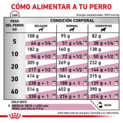 ROYAL CANIN Renal Special Canine -Animalear Ventas RACIONAMIENTO 62fccb1cb9d92