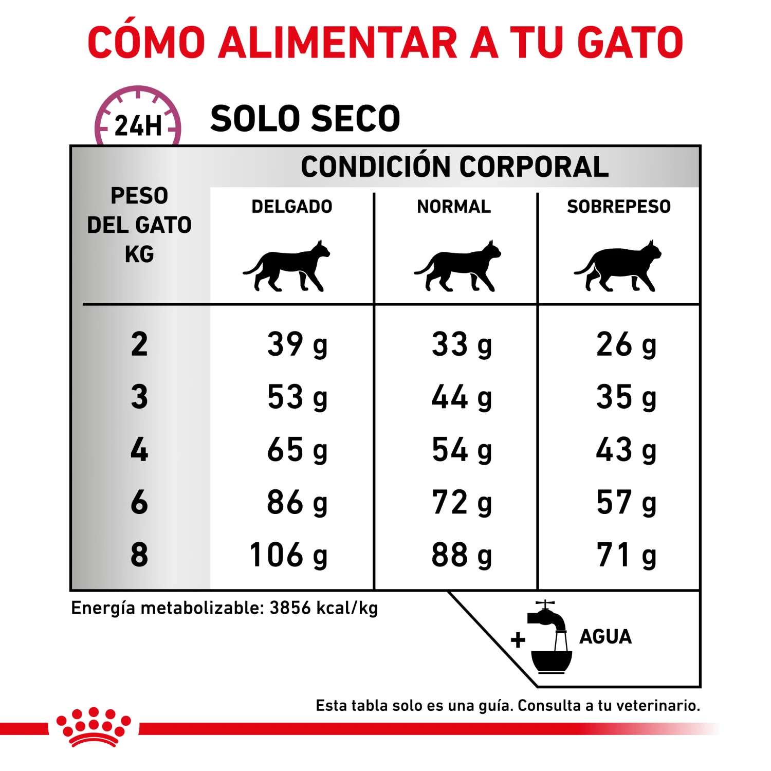 ROYAL CANIN VD Feline Mobility 11 ROYAL CANIN VD Feline Mobility - Imagen 9