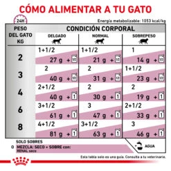 ROYAL CANIN Renal Paté 15 ROYAL CANIN Renal Paté -Animalear Ventas RACIONAMIENTO 62fce6d7878d7