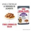 ROYAL CANIN Pack 12 Appetite Control Salsa -Animalear Ventas RC FCN AppetiteControlPouchGravy MV 1 es ES 649d572abc8b8