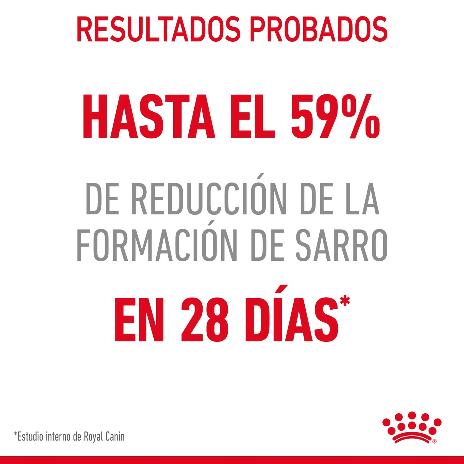 ROYAL CANIN Oral Care Pienso De Gato Adulto Con Sensibilidad Oral 6 ROYAL CANIN Oral Care Pienso De Gato Adulto Con Sensibilidad Oral - Imagen 4