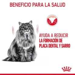 ROYAL CANIN Oral Care Pienso De Gato Adulto Con Sensibilidad Oral 17 ROYAL CANIN Oral Care Pienso De Gato Adulto Con Sensibilidad Oral -Animalear Ventas RC FCN DentalCare CV 1 es ES 649d6bfb758b1
