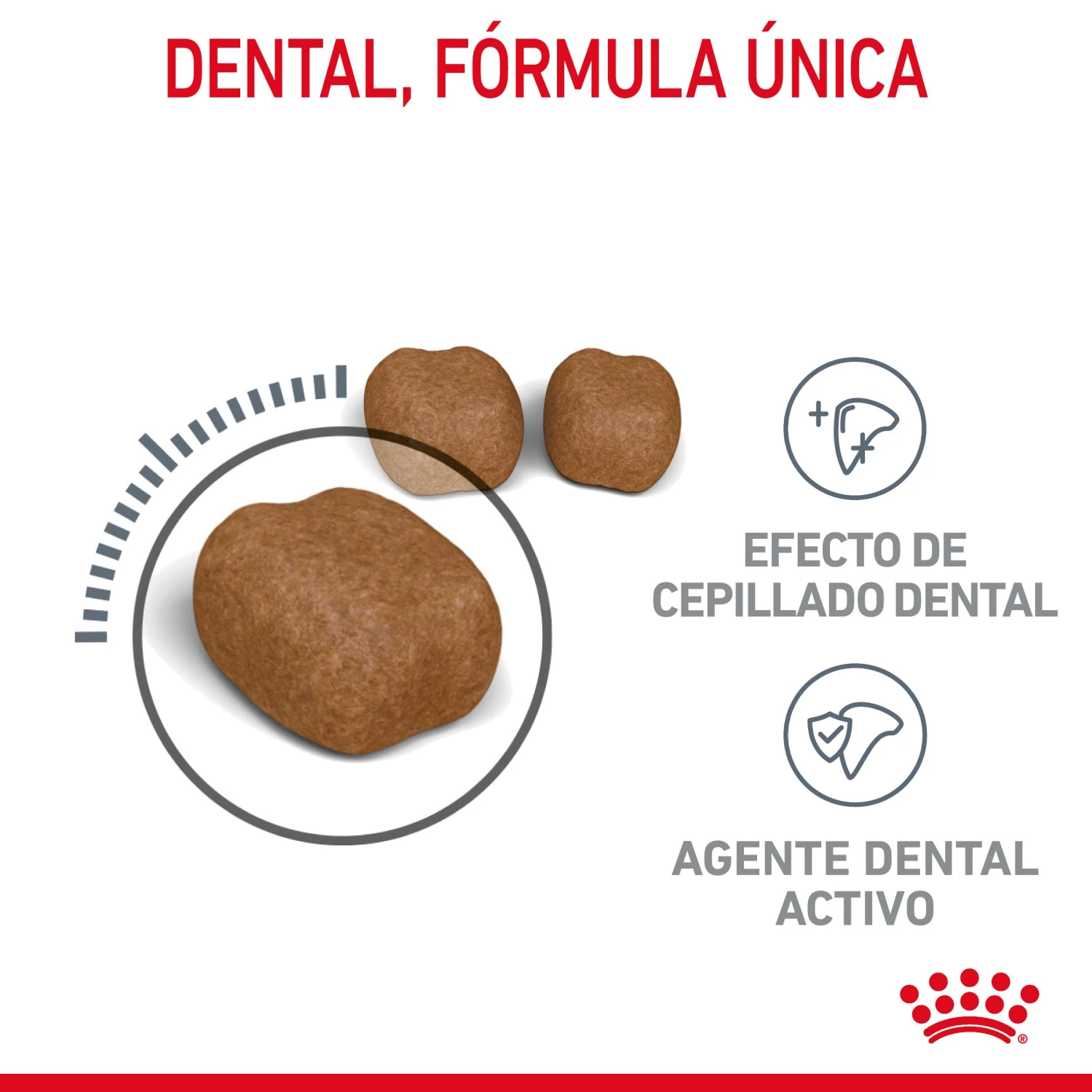 ROYAL CANIN Oral Care Pienso De Gato Adulto Con Sensibilidad Oral 8 ROYAL CANIN Oral Care Pienso De Gato Adulto Con Sensibilidad Oral - Imagen 6
