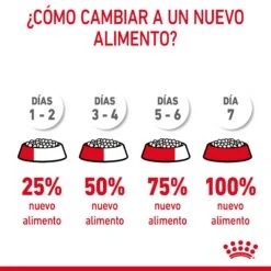 ROYAL CANIN Oral Care Pienso De Gato Adulto Con Sensibilidad Oral 21 ROYAL CANIN Oral Care Pienso De Gato Adulto Con Sensibilidad Oral -Animalear Ventas RC FCN DentalCare CV 7 es ES 649d6bfb81924
