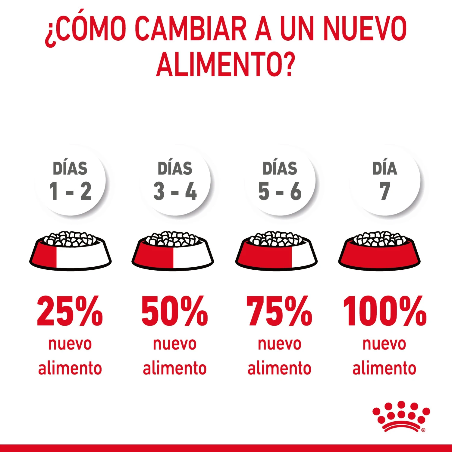 ROYAL CANIN Oral Care Pienso De Gato Adulto Con Sensibilidad Oral 11 ROYAL CANIN Oral Care Pienso De Gato Adulto Con Sensibilidad Oral - Imagen 9