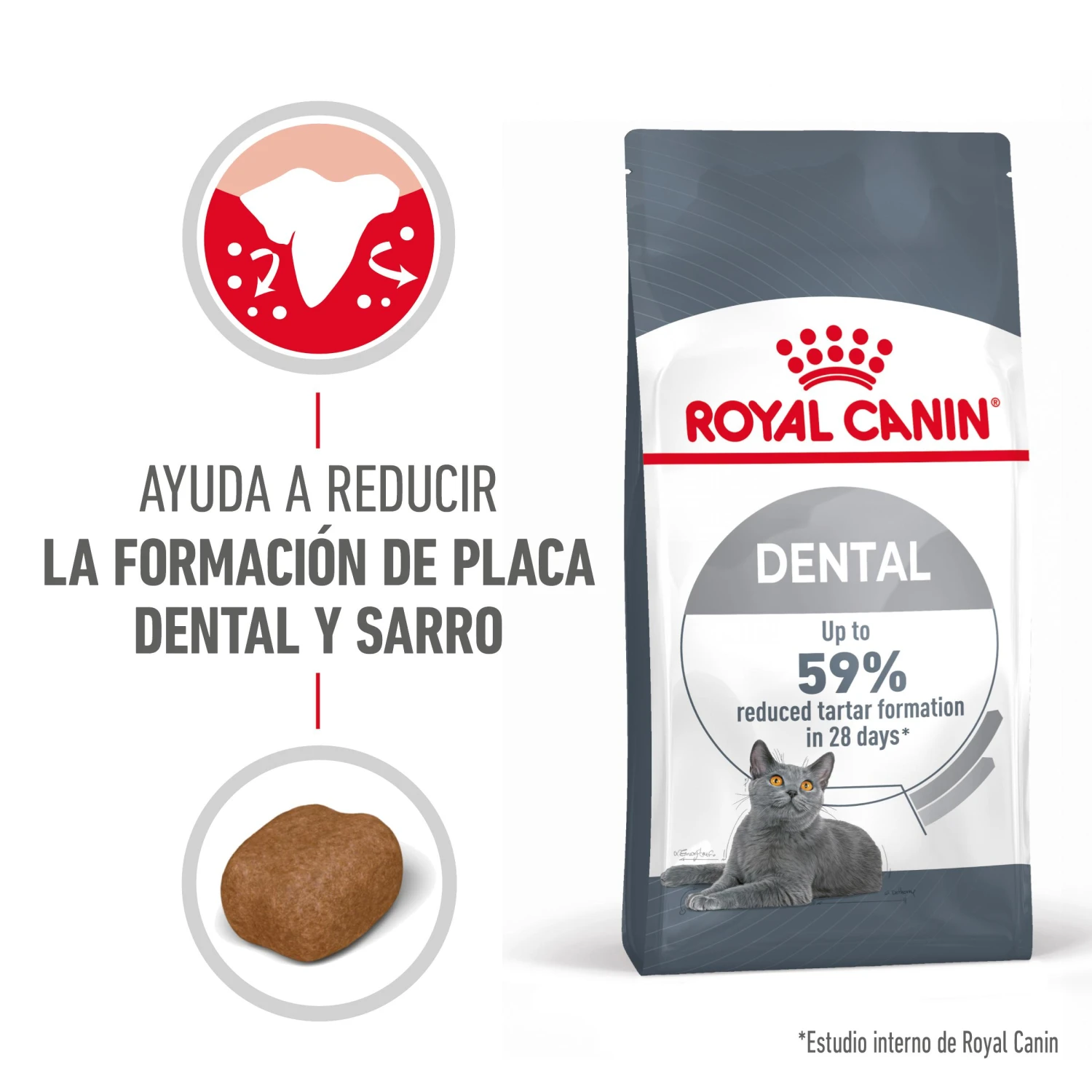 ROYAL CANIN Oral Care Pienso De Gato Adulto Con Sensibilidad Oral 4 ROYAL CANIN Oral Care Pienso De Gato Adulto Con Sensibilidad Oral - Imagen 2