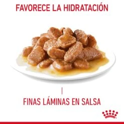 ROYAL CANIN Pack 12 Intense Beauty Salsa -Animalear Ventas RC FCN Hair skinPouchGravy CV 2 es ES 649d9b54653a3