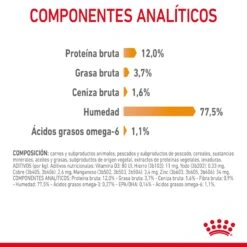 ROYAL CANIN Pack 12 Intense Beauty Salsa -Animalear Ventas RC FCN Hair skinPouchGravy CV 5 es ES 649d9b5468a1e