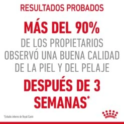 ROYAL CANIN Pack 12 Intense Beauty Gelatina -Animalear Ventas RC FCN Hair skinPouchJelly MV 2bis es ES 649ea9d8b365c
