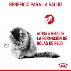 ROYAL CANIN Pack 12 Hairball Care Salsa -Animalear Ventas RC FCN HairballCarePouchJelly CV 1 es ES 65080e84dd795