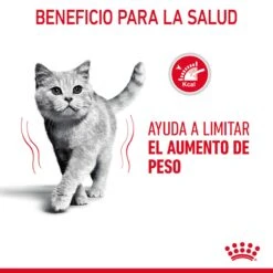 ROYAL CANIN Pack 12 Ultra Light Gelatina 18 ROYAL CANIN Pack 12 Ultra Light Gelatina -Animalear Ventas RC FCN LightWeightCareJelly CV 1 es ES 649da16abadbc