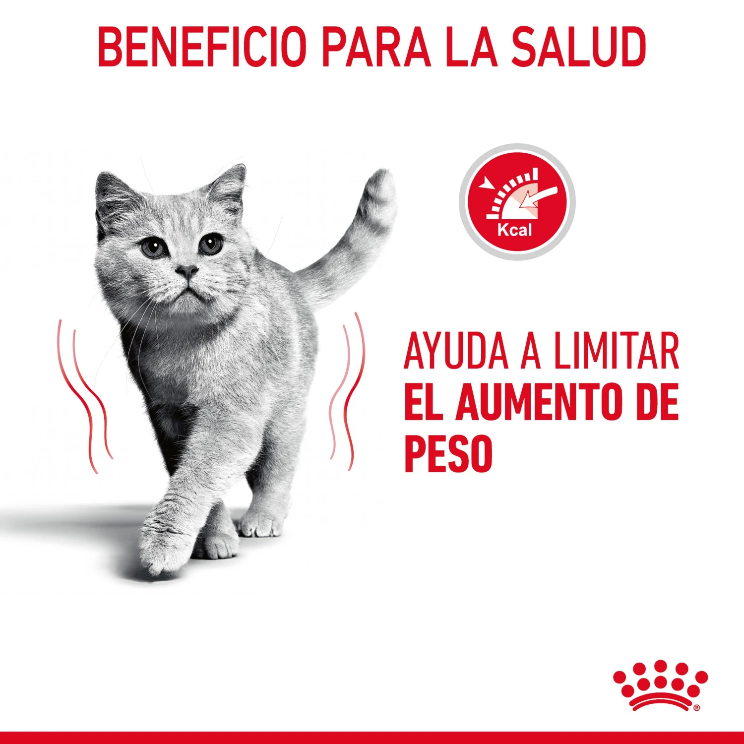 ROYAL CANIN Pack 12 Ultra Light Gelatina 7 ROYAL CANIN Pack 12 Ultra Light Gelatina - Imagen 5