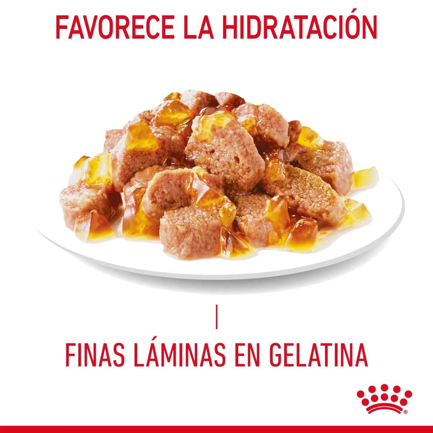 ROYAL CANIN Pack 12 Ultra Light Gelatina 8 ROYAL CANIN Pack 12 Ultra Light Gelatina - Imagen 6