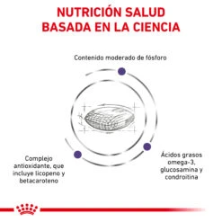 ROYAL CANIN Pienso Mature Consult -Animalear Ventas RC VET DRY CatMatCons CV 3 es ES 62fce28df1325