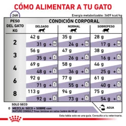 ROYAL CANIN Pienso Mature Consult -Animalear Ventas RC VET DRY CatMatCons CV 6 es ES 62fce291825fd