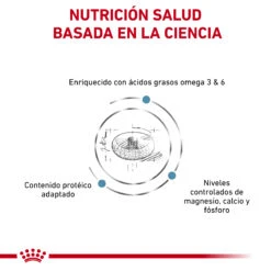 ROYAL CANIN Skin & Coat -Animalear Ventas RC VET DRY CatSkinCoat CV Eretailkit 2 es ES 62fce05164ce8