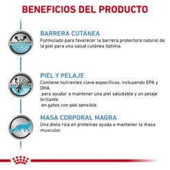 ROYAL CANIN Skin & Coat -Animalear Ventas RC VET DRY CatSkinCoat CV Eretailkit 3 es ES 62fce0529e162