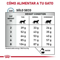 ROYAL CANIN Skin & Coat -Animalear Ventas RC VET DRY CatSkinCoat CV Eretailkit 5 es ES 62fce053aaf1f