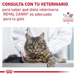 ROYAL CANIN Skin & Coat -Animalear Ventas RC VET DRY CatSkinCoat CV Eretailkit 8 es ES 62fce058bedb5