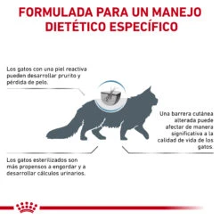 ROYAL CANIN Skin & Coat -Animalear Ventas RC VET DRY CatSkinCoat CV Eretailkit 9 es ES 62fce059db750