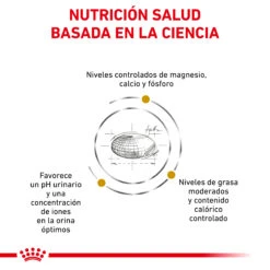 ROYAL CANIN Comida Húmeda Urinary S/O Moderate Calorie -Animalear Ventas RC VET DRY CatUrinarySOMC CV Eretailkit 2 es ES 62fce534ca383