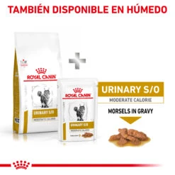ROYAL CANIN Comida Húmeda Urinary S/O Moderate Calorie -Animalear Ventas RC VET DRY CatUrinarySOMC CV Eretailkit 6 es ES 62fce53fb9f06