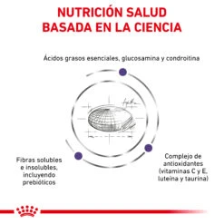 ROYAL CANIN Vet Care Adult Large Dog -Animalear Ventas RC VET DRY DogADLD CV 3 es ES 62fcc38ea0c53