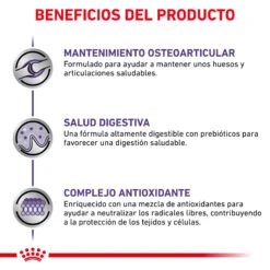 ROYAL CANIN Vet Care Adult Large Dog -Animalear Ventas RC VET DRY DogADLD CV 4 es ES 62fcc38fcc941