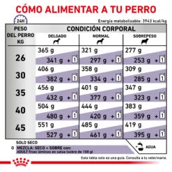 ROYAL CANIN Vet Care Adult Large Dog -Animalear Ventas RC VET DRY DogADLD CV 6 es ES 62fcc3911985f